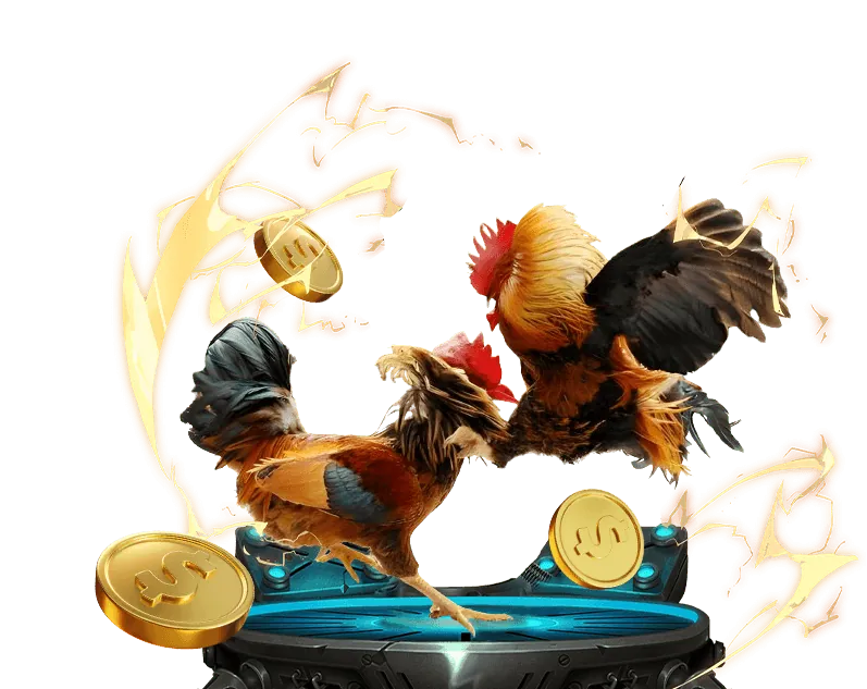 Hình ảnh minh họa về bảo mật dữ liệu và thu thập thông tin tại Trực tiếp đá gà Thomo